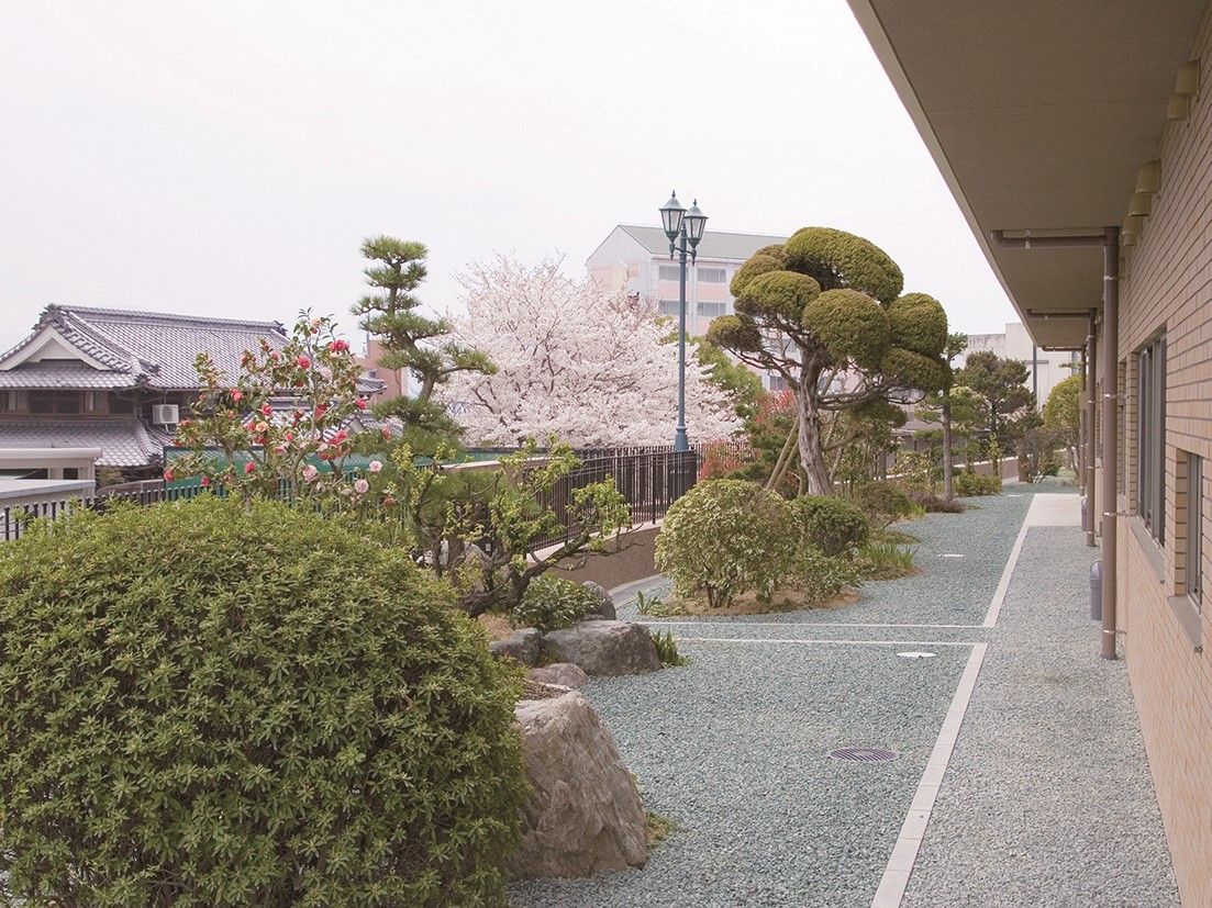 日当たりの良い、日本庭園のような中庭である。大きな石が多数置かれており、多種多様な草花が植えられている。