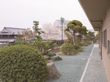 日当たりの良い、日本庭園のような中庭である。大きな石が多数置かれており、多種多様な草花が植えられている。