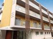 周辺に大きな木が生えたクリーム色の壁の４階建ての建物