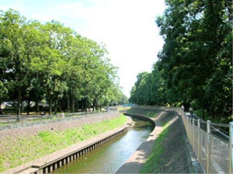 「アライブ浜田山」の周辺環境。善福寺川が流れており、夏場は涼しい環境である。