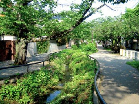 「アライブ世田谷代田」の周辺環境。散歩コースに適した緑道がある。