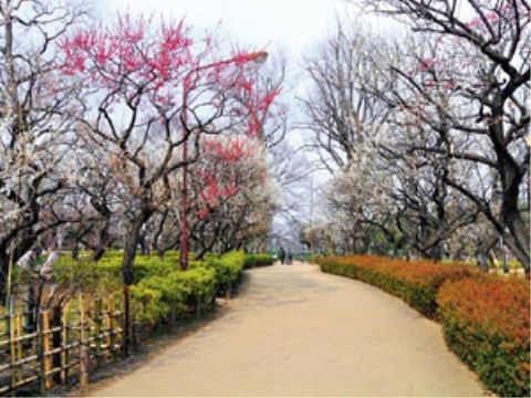「アライブ世田谷代田」の周辺環境。季節に呼応して、植物たちも色味を変化させ、綺麗な公園になる。