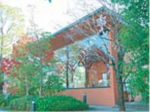 木製のオレンジ系の壁が周りを囲むケヤキの大木に映えて美しい。景観賞をダブル受賞したとあるが、現在は営業していない。