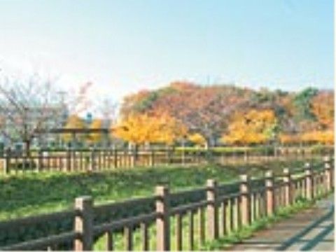 川沿いに木製の柵が設置され、散歩道として整備されている。桜の名所としてよく知られている。大きな調整池を中心に雑木林も整備されている。