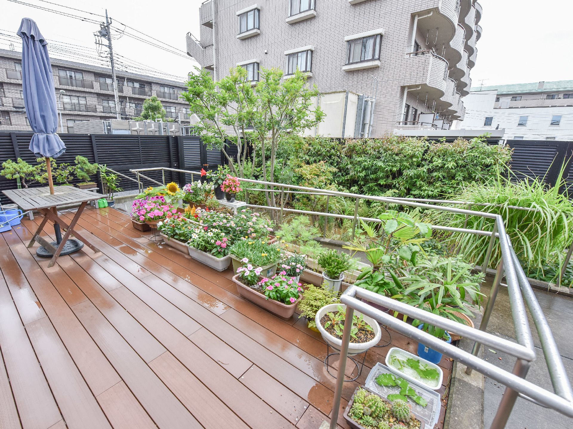 中庭にはたくさんの花が花壇に咲き、草も植えられていて自然に囲まれている。テーブルもあり、パラソルが置かれている。