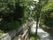 細い川に沿って木の柵と植え込みに挟まれた小道がある。川の対岸も石垣で整備され、両側の木々の緑が美しい。