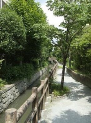 游歩道