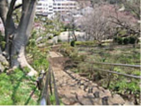 両側に鉄製の手すりが付いた、幅が細い階段の両側に緑の草地がある。草地の奥には桜が咲いており、階段の下には広場になっている。