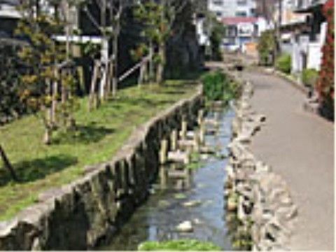 細い流れの両岸は石が積まれて護岸されている。川の左側は芝生と木が植えられ、右側は歩きやすいように舗装されている。