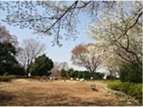 中央が開けており、右側には低い石組みがあり、上に大きな白い花をつけた木が枝を伸ばしている。手前と奥にはつぼみが膨らみかけた桜の木がある。