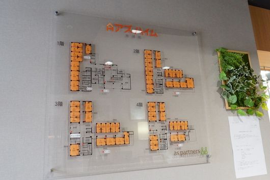 展示物
