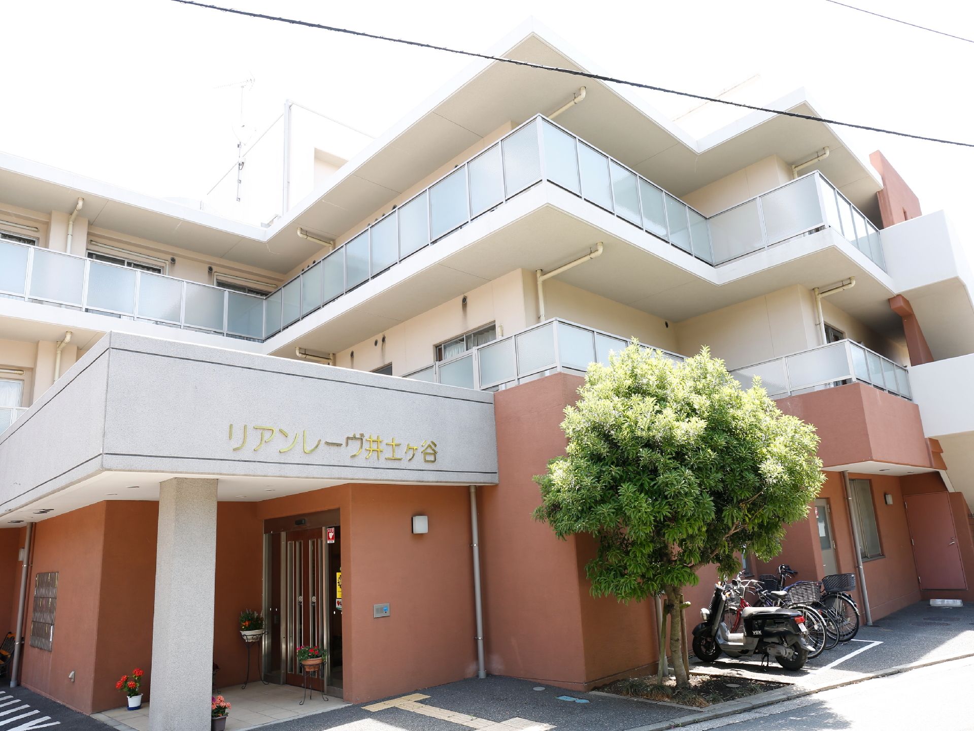 外観はオレンジ色と白色の外観であり、施設名は金色で書かれている。また、木が植えられており、駐輪場も用意されている。