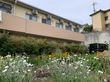 花が咲く施設の外観