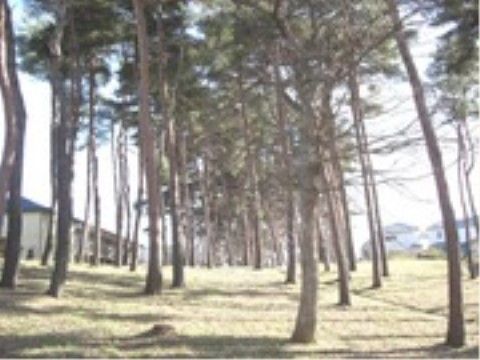 アビタシオン若葉の周辺環境。ご面会にいらしたご家族・ご友人と一緒にお立ち寄りになれる静かな市民公園がございます。