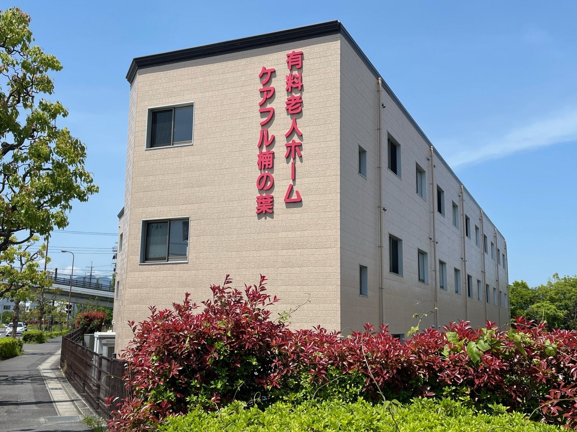 外観と植栽の建物