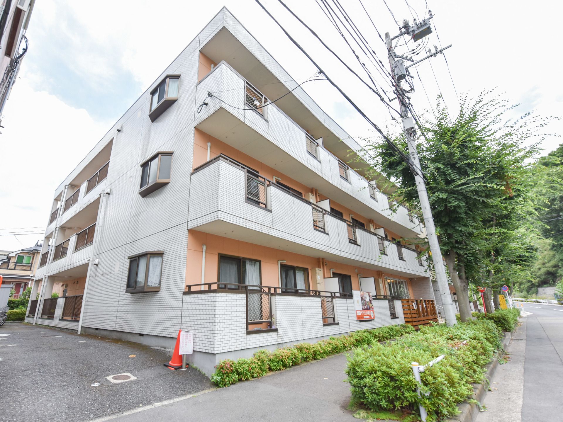 施設の前面には歩道があり、境目部分には植物が植えられている。建物の左側はアスファルト舗装され、駐車場になっている。
