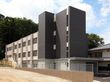 建物の裏手には雑木林があり、緑が溢れている。居室の窓が並んでいる方角は空き地になっており、開放感がある。