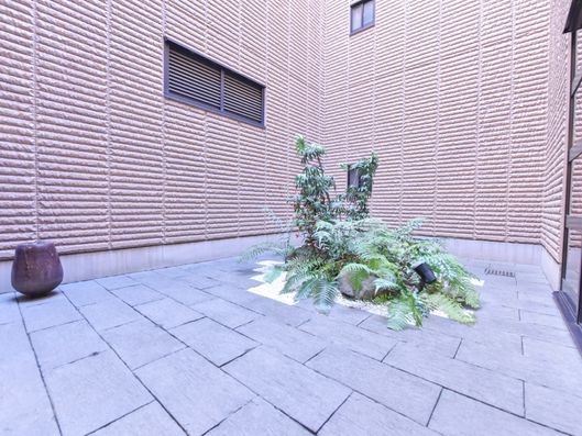 中庭