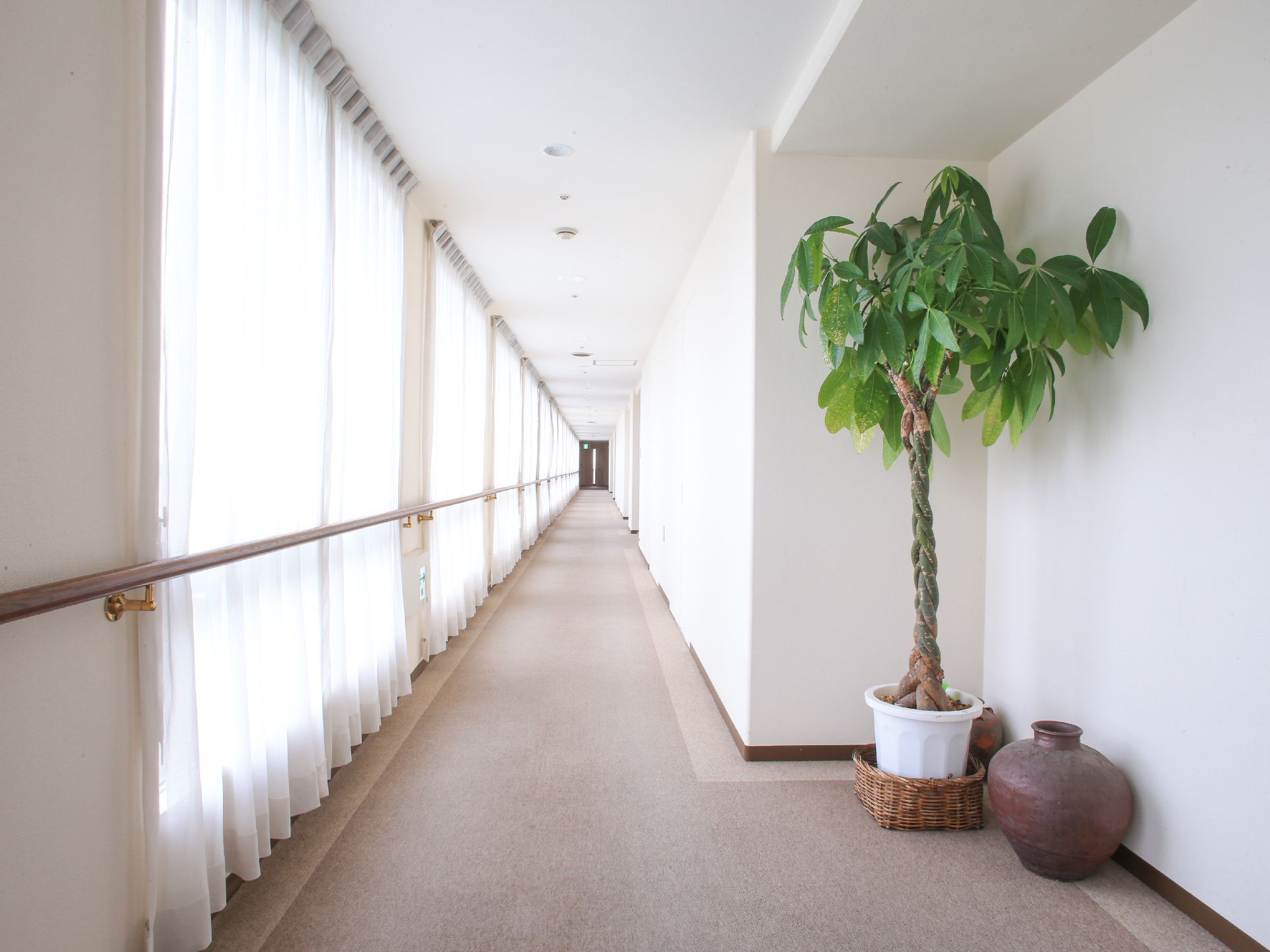 明るい共用廊下の一角には大型の観葉植物やオブジェとしての壷等の設置によりちょっとしたアクセントとなっている。