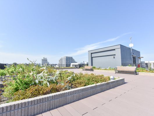 屋上