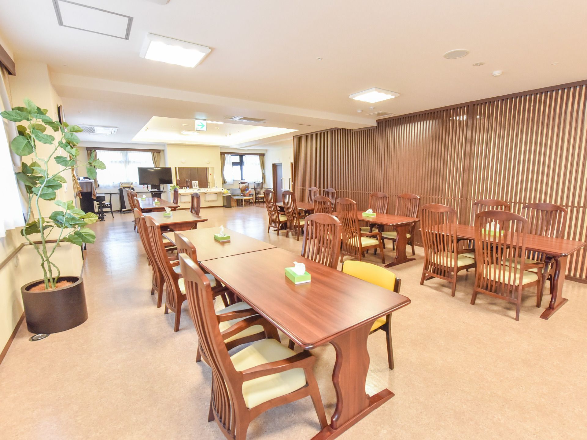 プランターが置いてある食堂で、ダイニングテーブルの上にはティッシュボックスが置いてある。洗面台がある。
