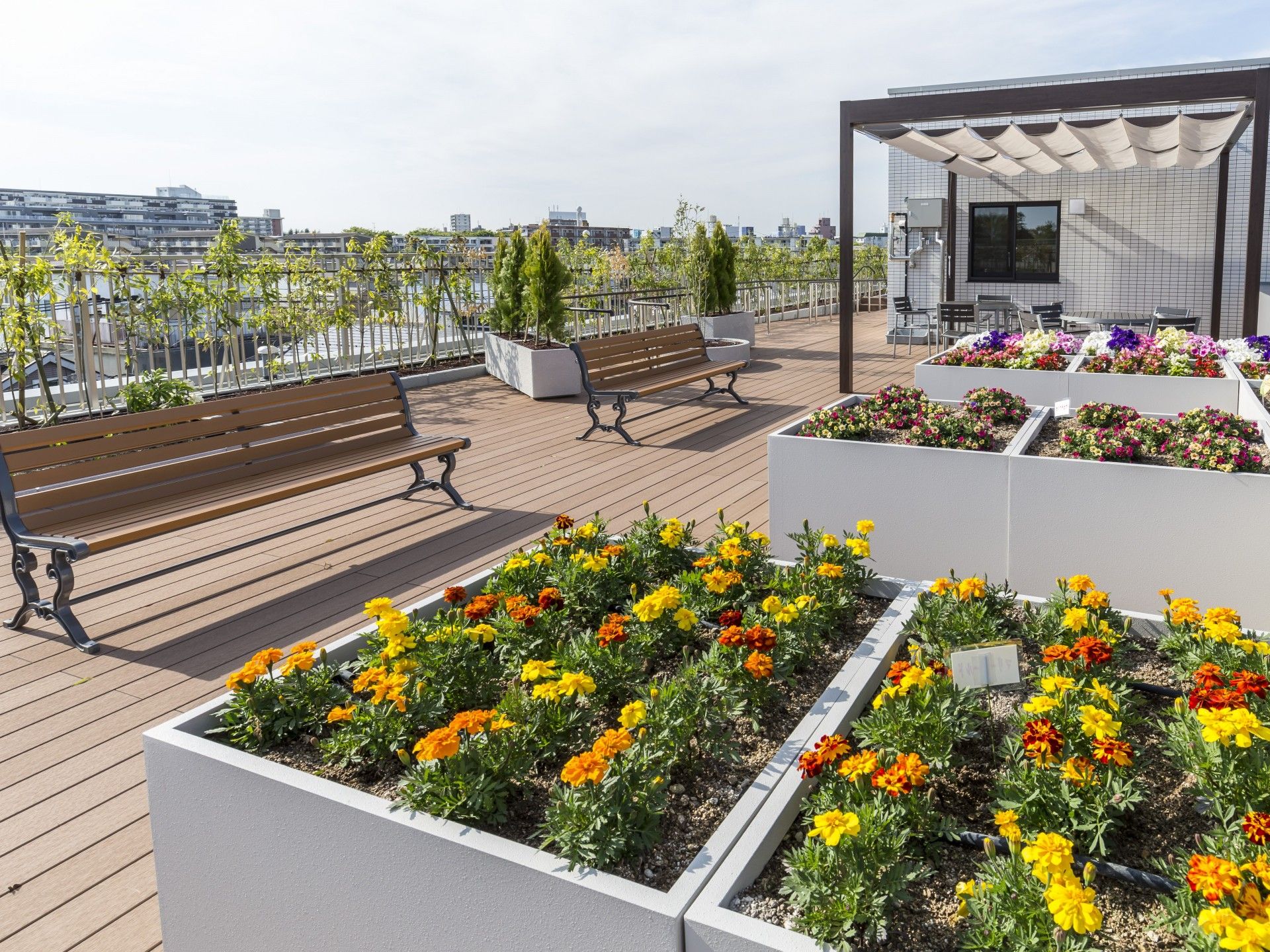 屋上庭園の植物とベンチ