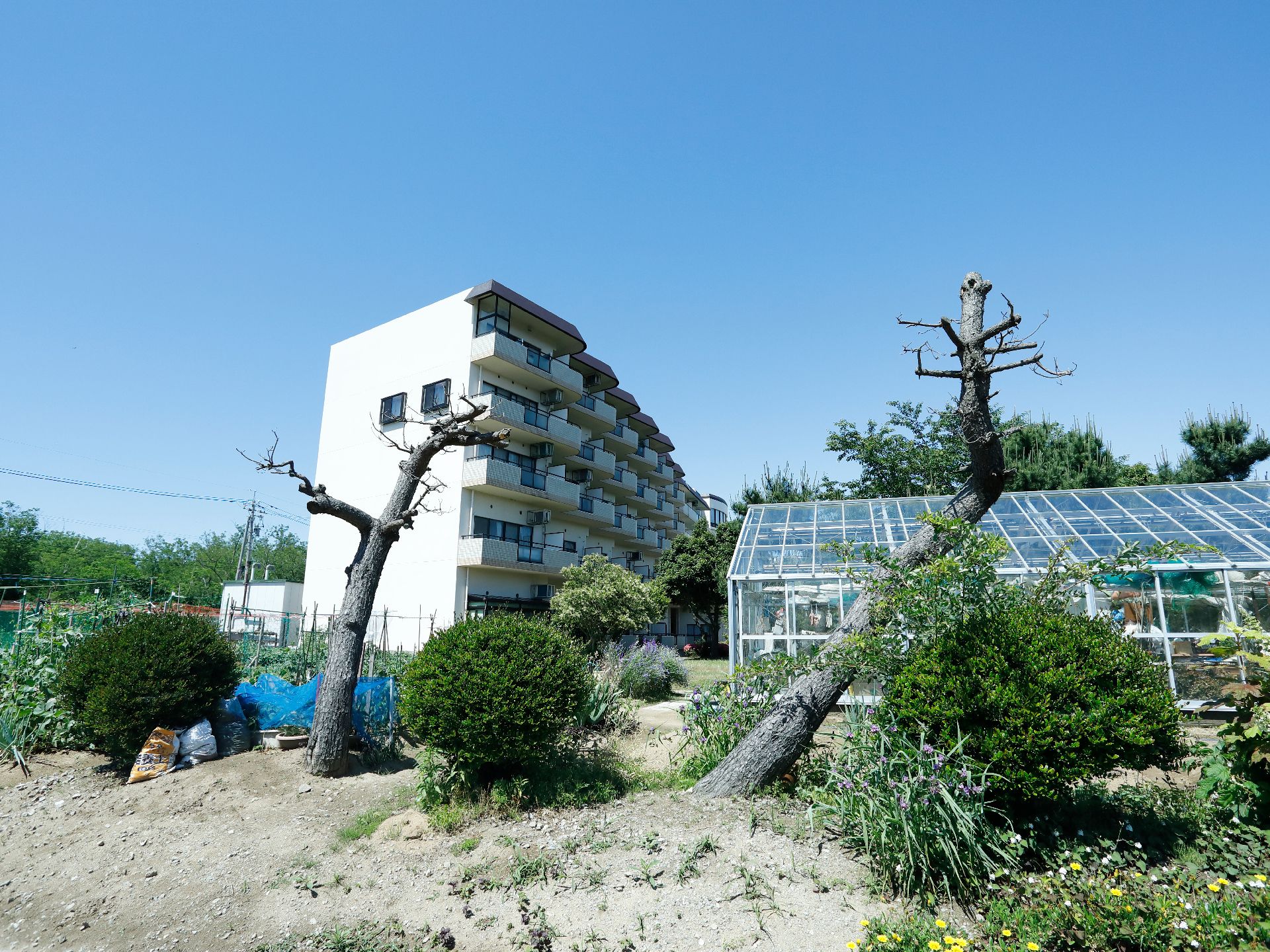 畑に囲まれた大きなマンションが建っているという感じであり、地域に何ら違和感なく溶け込んでいる。自然に囲まれている。