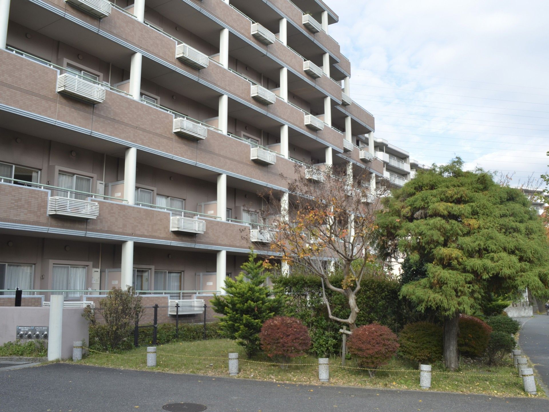 緑豊かな外観