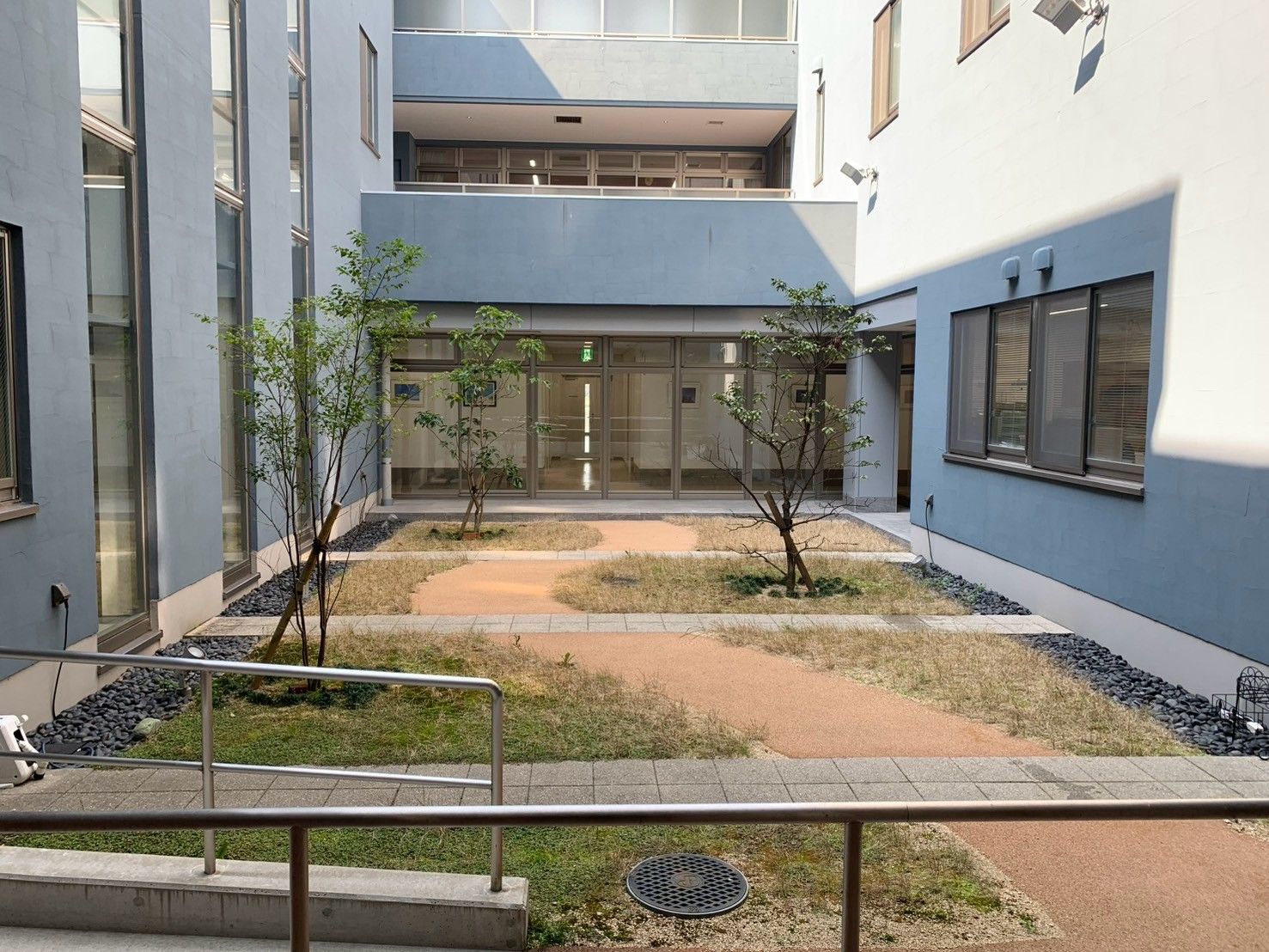 中庭の風景