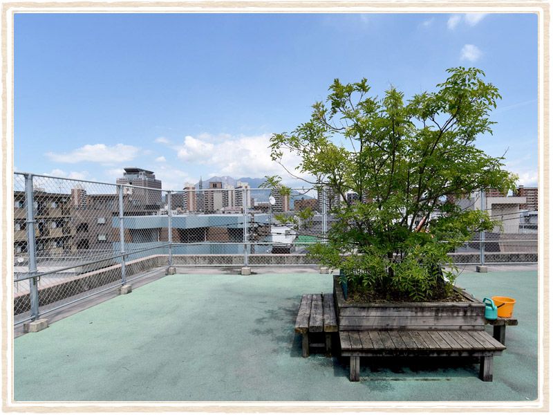 中庭の緑とベンチ