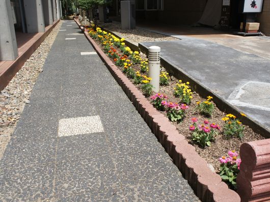 花壇