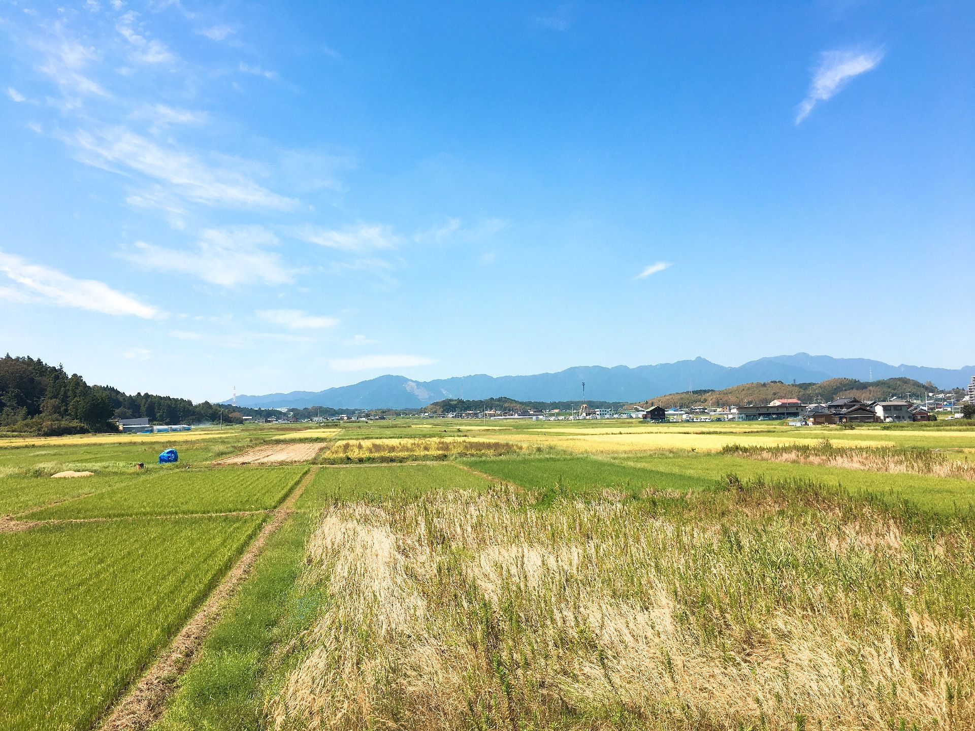 館内からは広大な田んぼが広がる風景が広がっている。奥には鈴鹿山脈が見える。