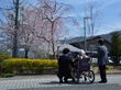３階建ての施設の建物玄関に向けて、歩道が設置されている。建物の前は広い駐車場となっている。歩道右側の庭園には庭木が植栽されている。