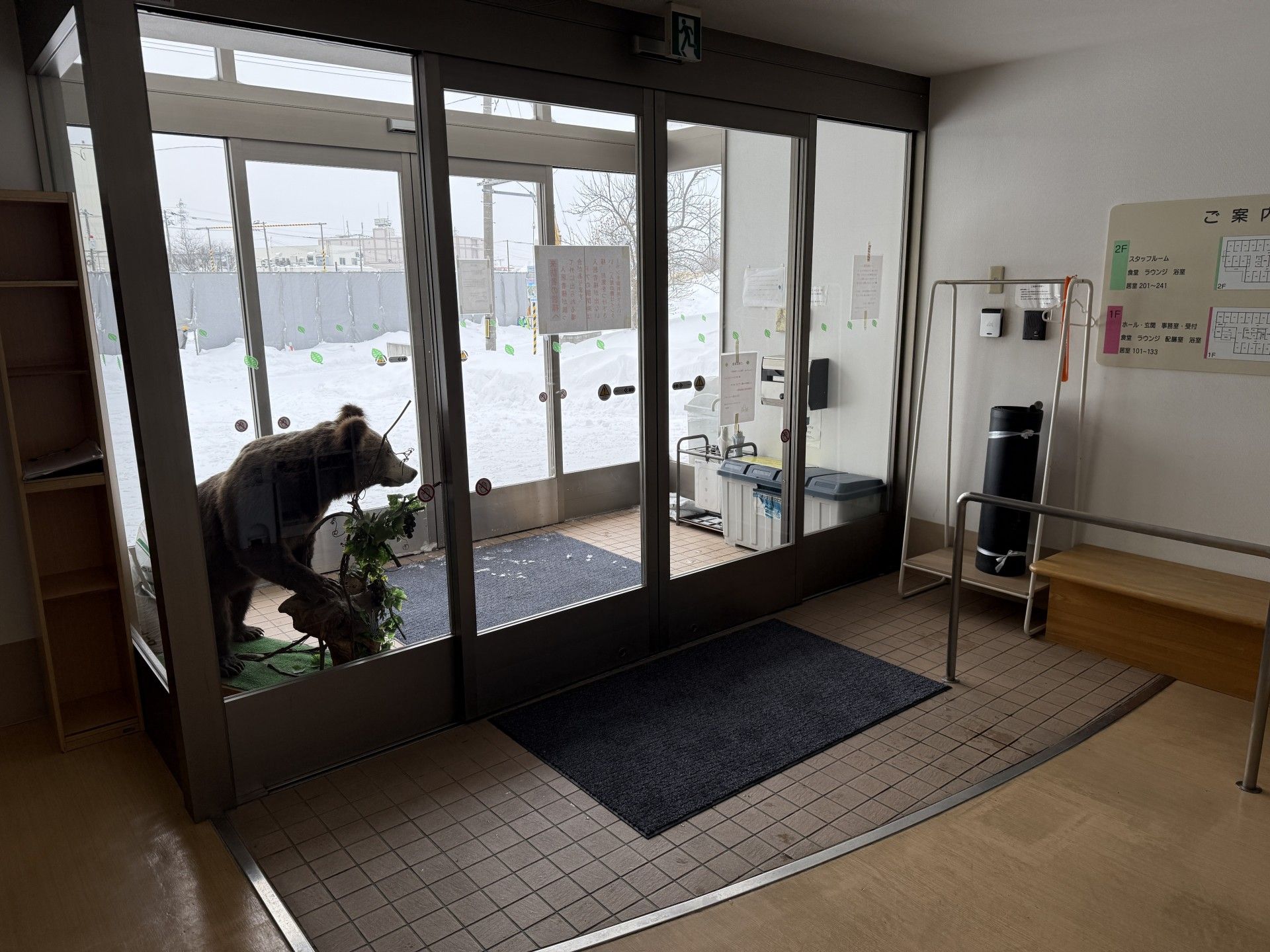 ガラス扉の前のクマ