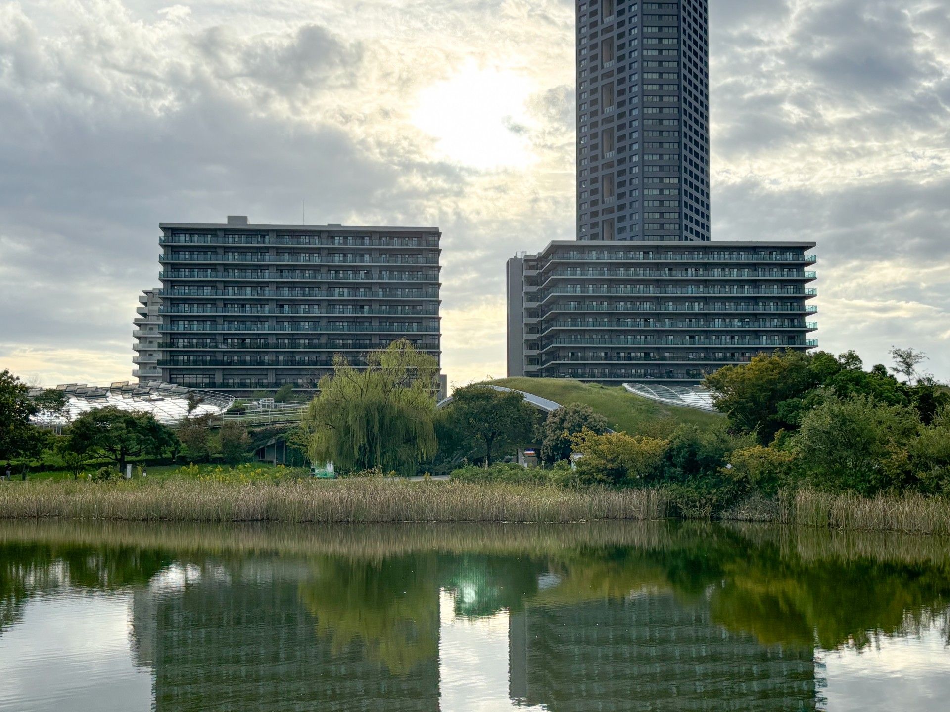 自然に囲まれた建物