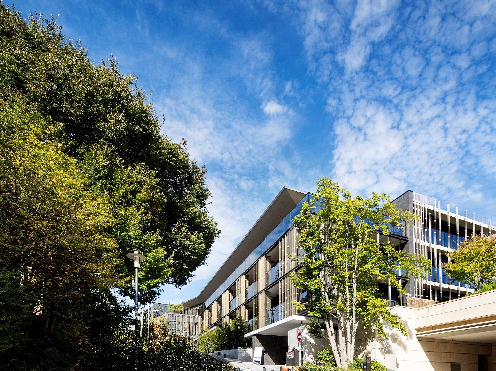 緑に囲まれた建物は日当たりのいい場所に建っていて壁がガラス張り。各フロアにベランダが付いている。