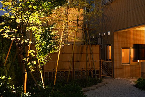 夜の和風庭園風景