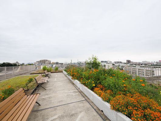 屋上