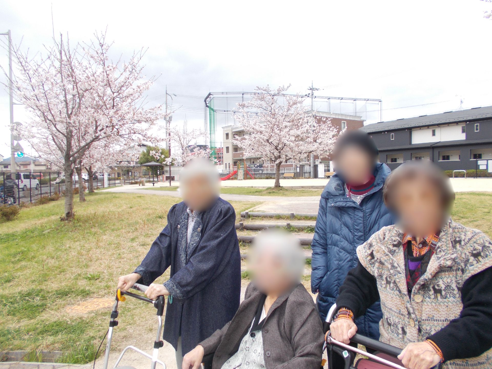桜並木と共に過ごす時間