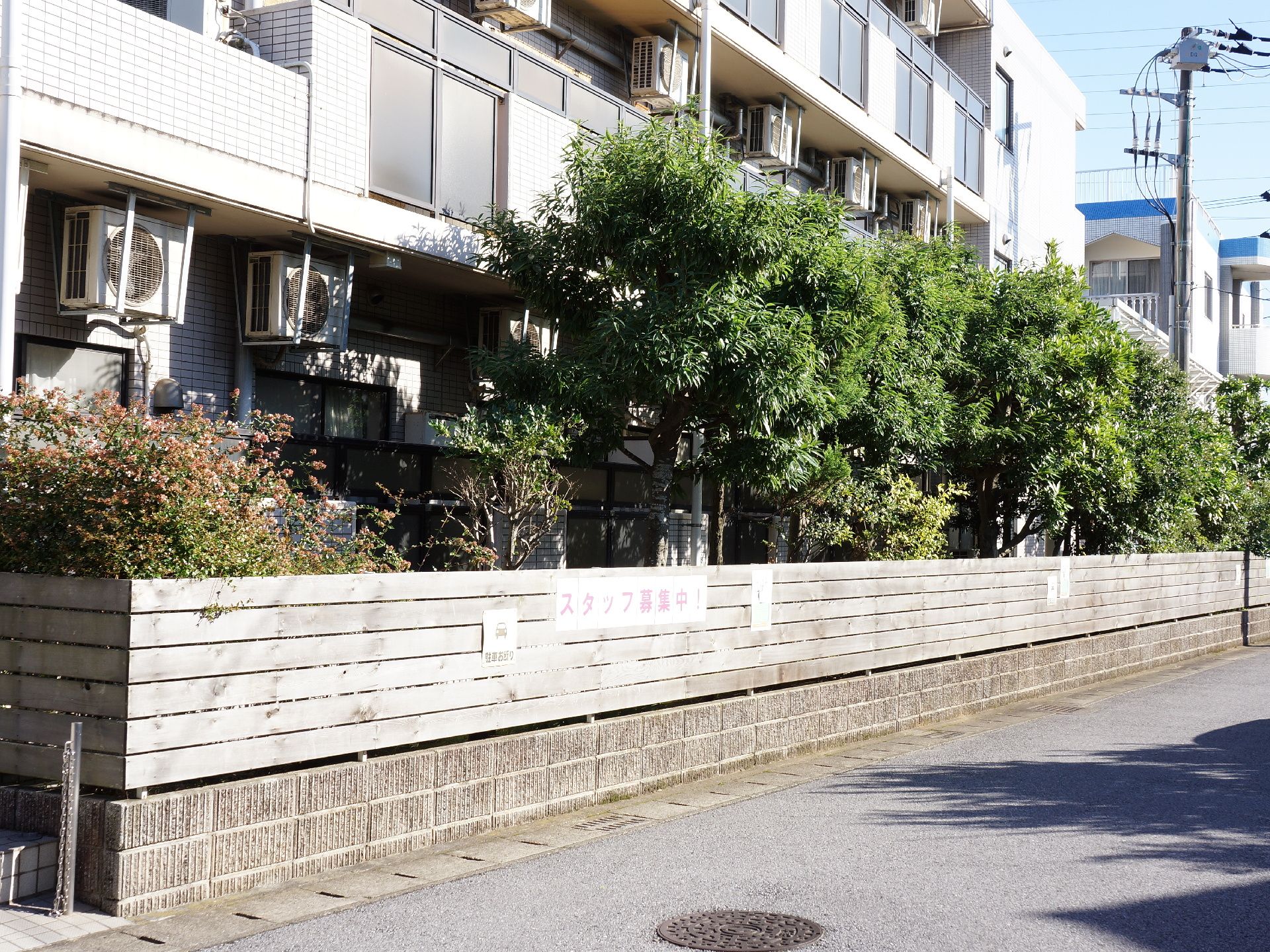 施設の外側は塀を境に建物と道路に分かれており、施設側にはたくさんの植物が群生している。一方道路側は車が通れる広さがある。