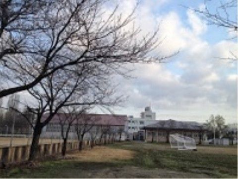 施設近辺の図書館の隣には、大きな公園もある。サッカーができるほどの広さで、適度な運動を楽しむことができる。