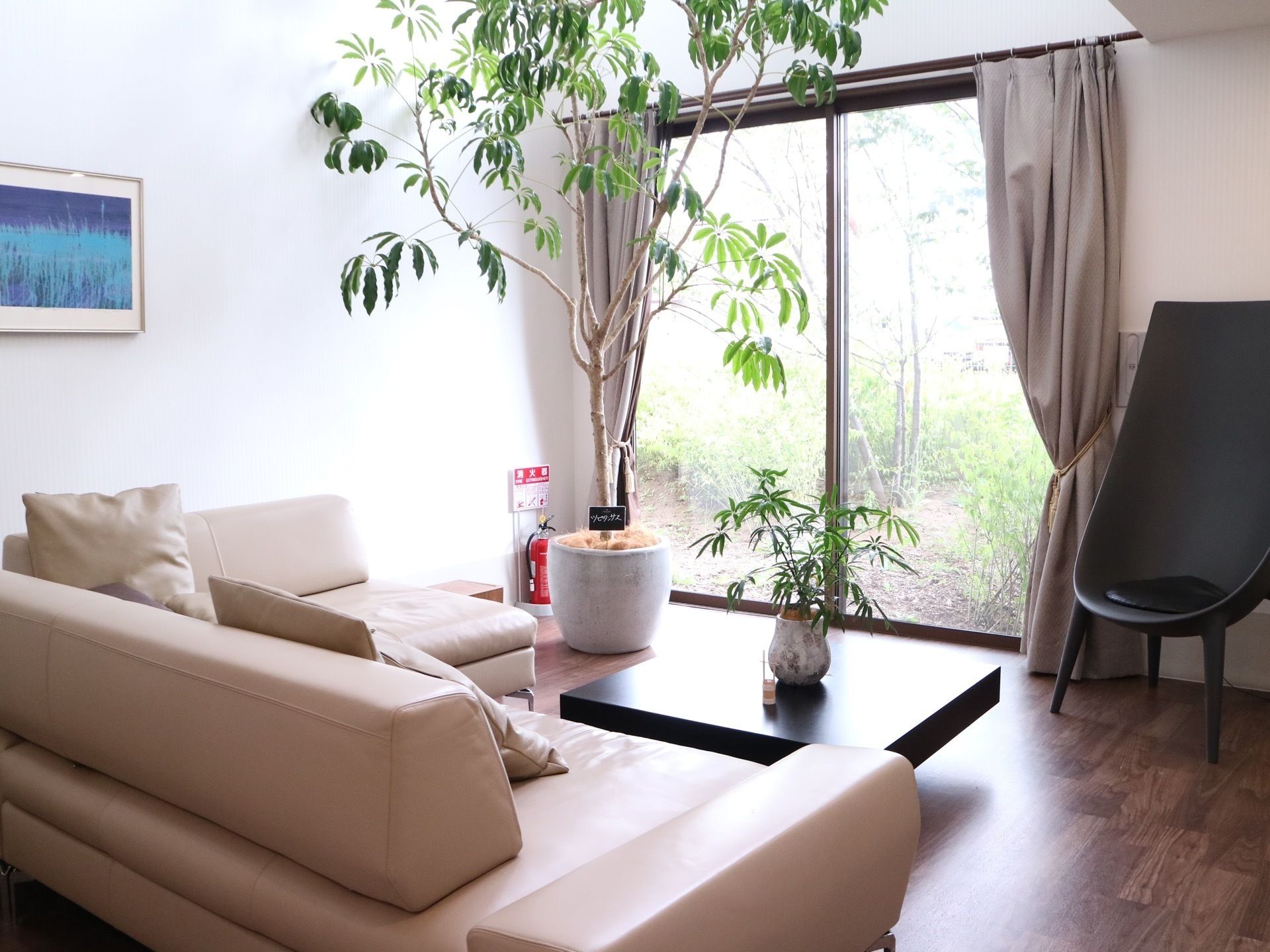 大きな観葉植物やブルー系の絵画、ソファなどがある広いフローリングの部屋には大きな窓も付いている。