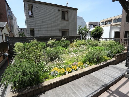 庭園