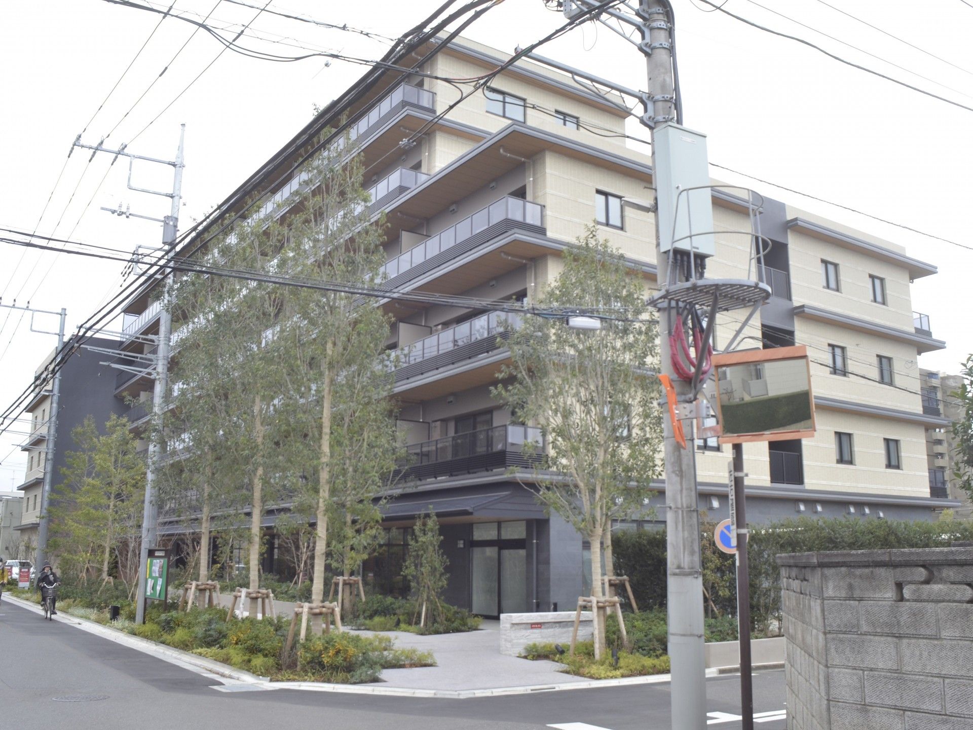 緑豊かな建物の外観