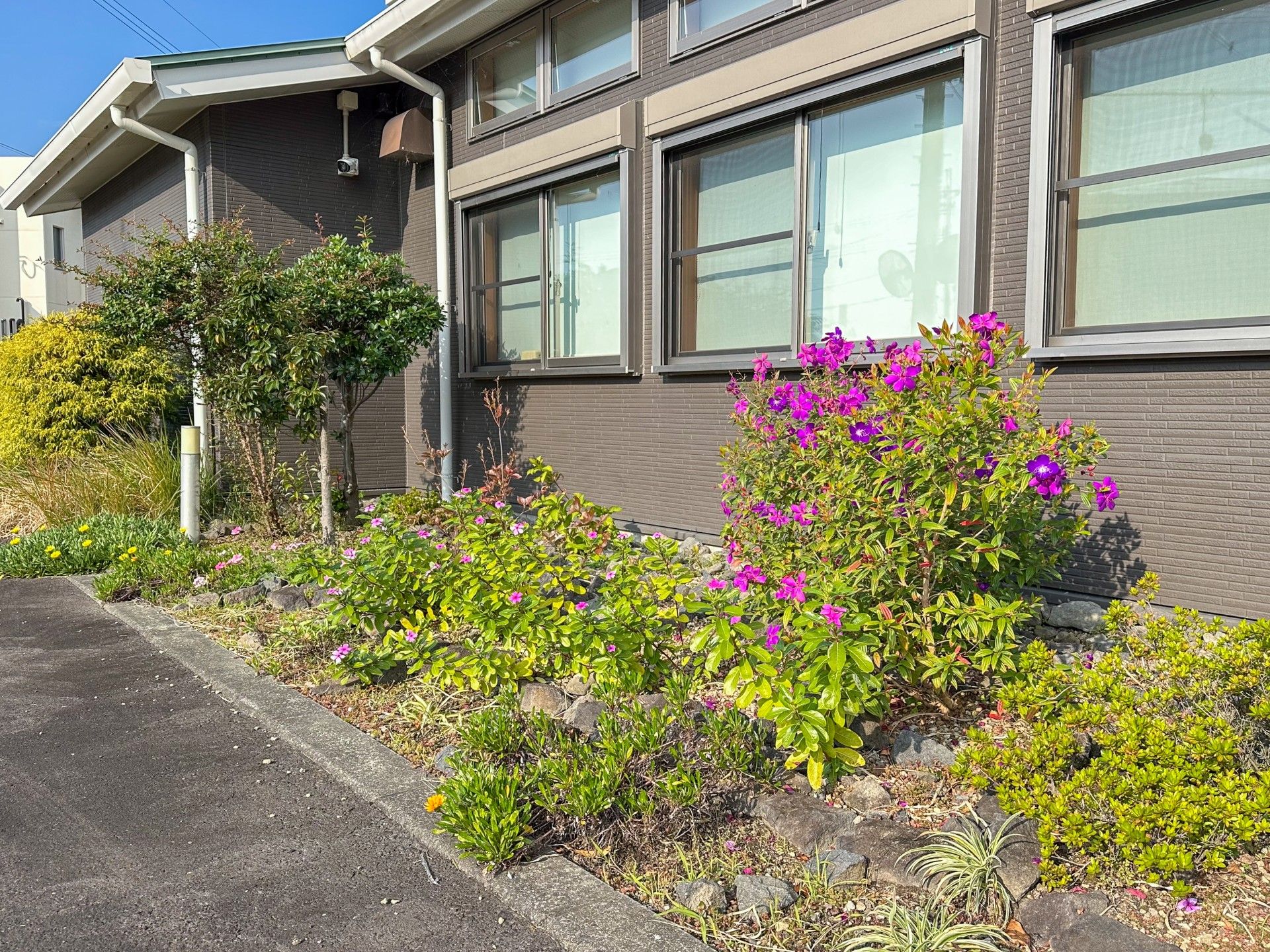 色とりどりの花壇