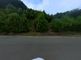 緑豊かな周辺の道路