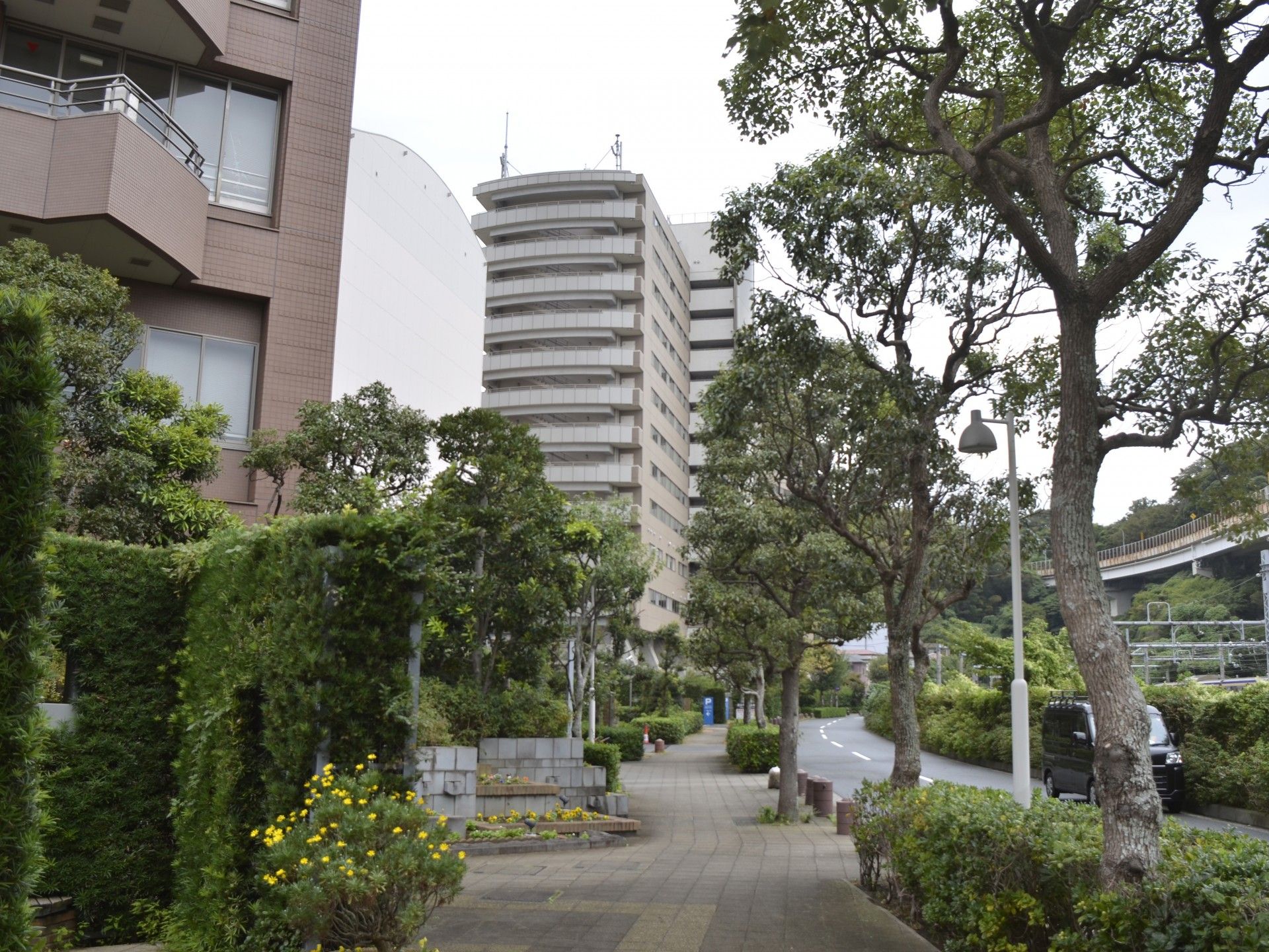 緑豊かな散歩道