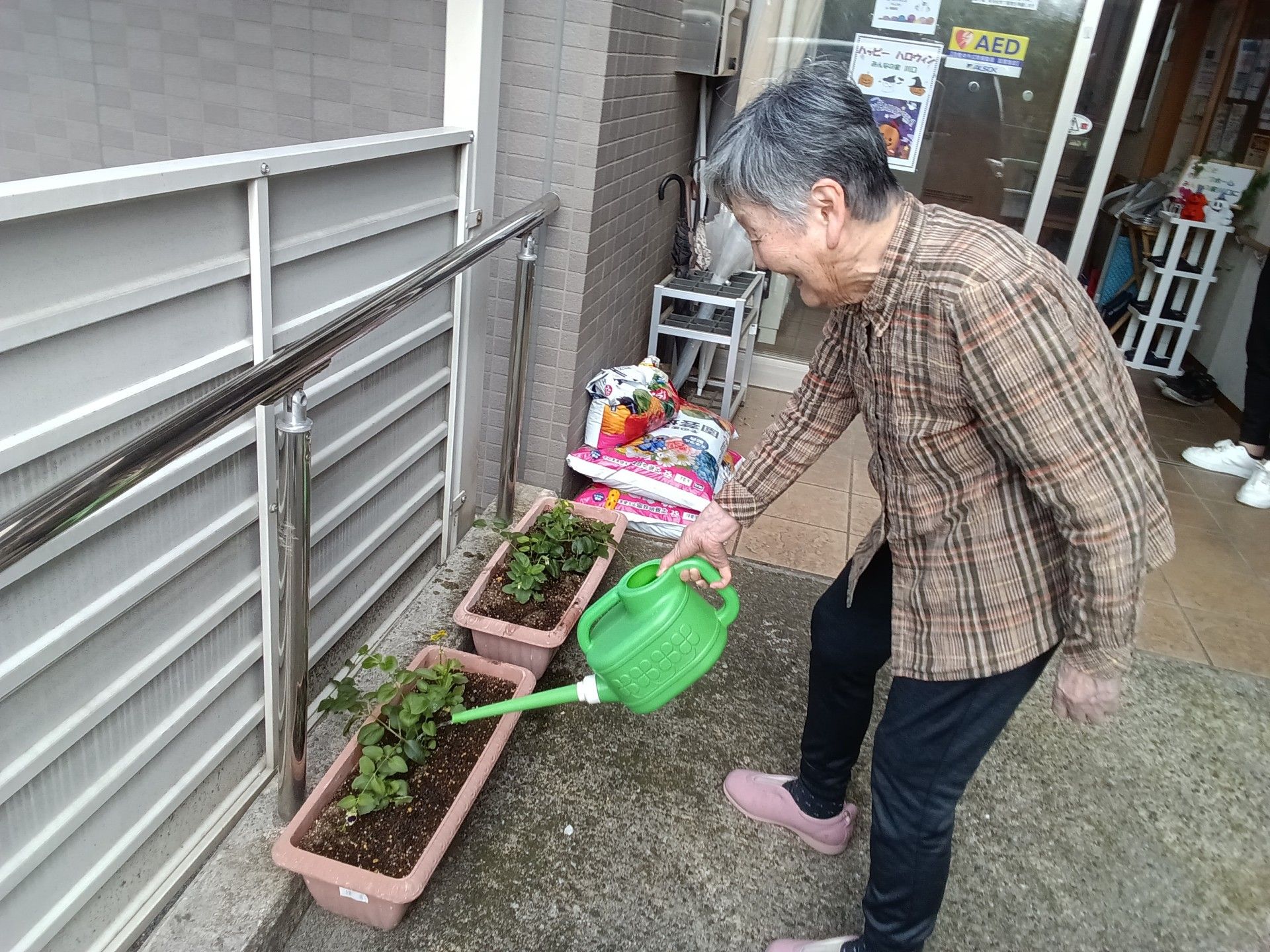 植物の水やりをする人