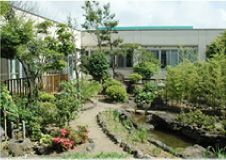 緑豊かな庭園